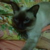 [Avatar]