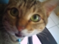 [Avatar]