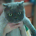 [Avatar]
