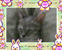 [Avatar]