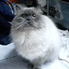 [Avatar]