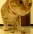 [Avatar]