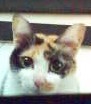 [Avatar]