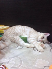[Avatar]