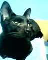 [Avatar]