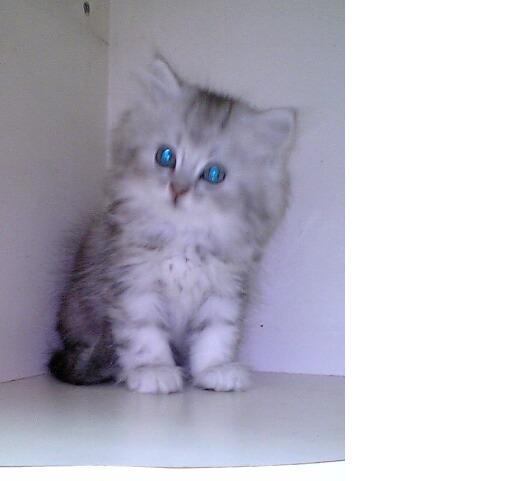 [Avatar]