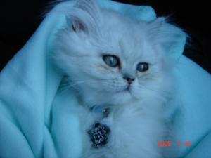 [Avatar]