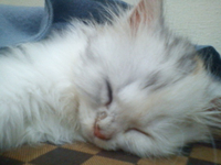 [Avatar]